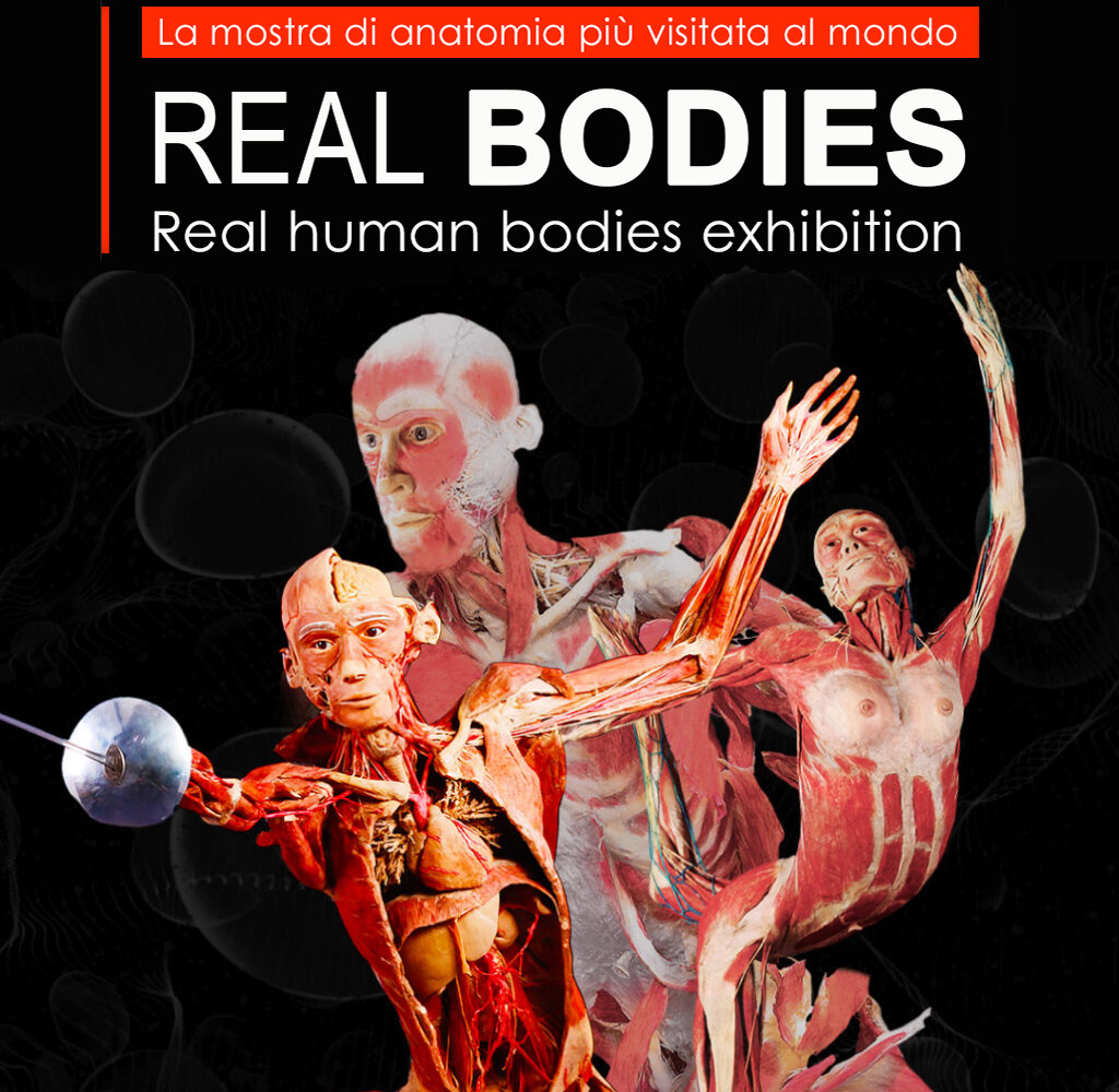 Real Bodies al Castello del Monferrato | La mostra di anatomia più vista al mondo 